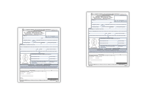 Two pages of the DS-82 renewal application for manual filling
